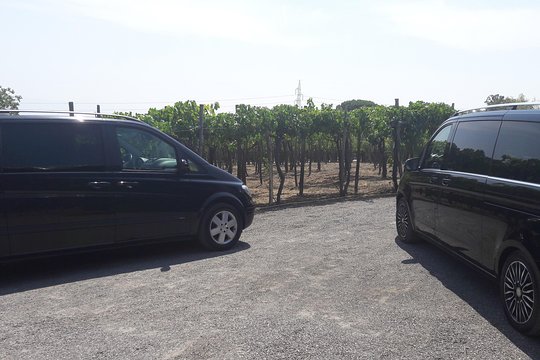 Tour image 2