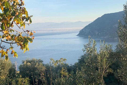 Tour image 6