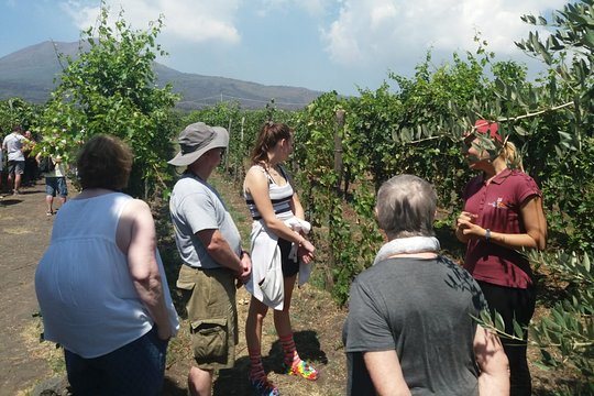 Tour image 10