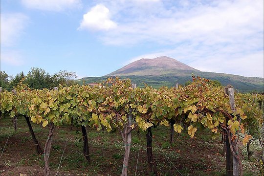 Tour image 11