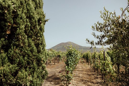 Tour image 4